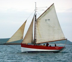 Pettifox, langoustier de Camaret Pettifox sous voile