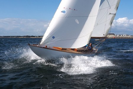 Periwinkle-14-08-18-23 Dublin Bay 24 Periwinkle