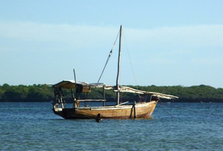 P1010632 Fish Eagle Point, près de Tanga, Tanzanie, sur la côte qui fait face aux iles de Pemba et Zanzibar