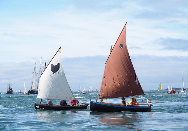 Semaine du Golfe 2017 : les voile-aviron Retour à l'article .