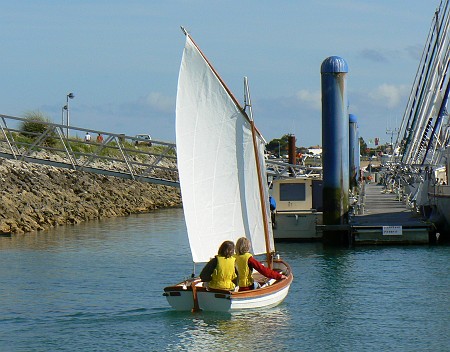 P1060258 Momo, grand Morbic à voile